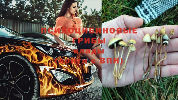 герыч Алексеевка