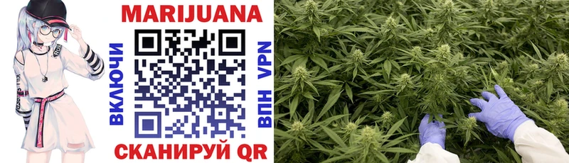 Бошки марихуана SATIVA & INDICA купить Ладушкин